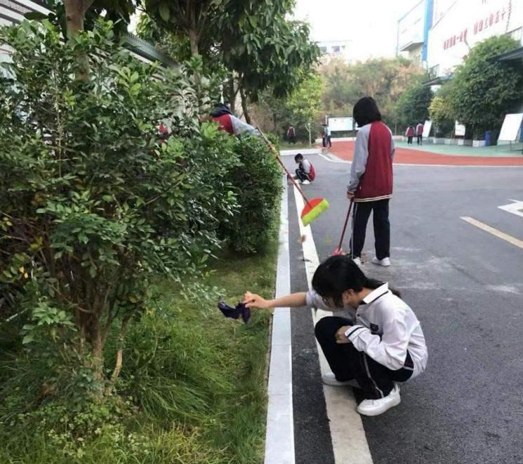 图片5.png