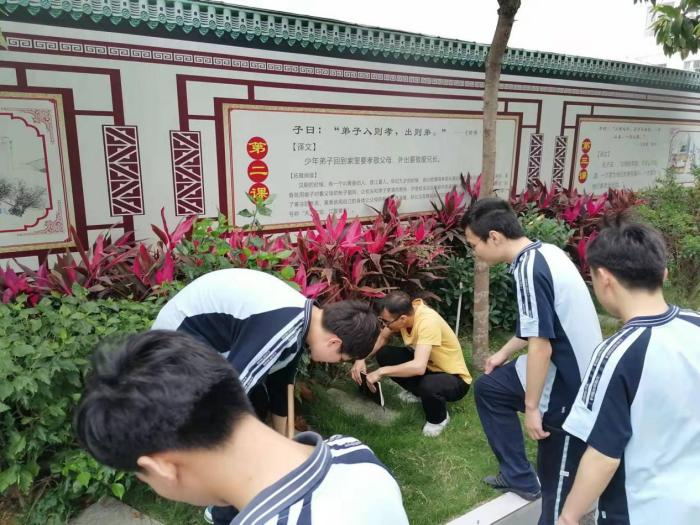 图片6.png