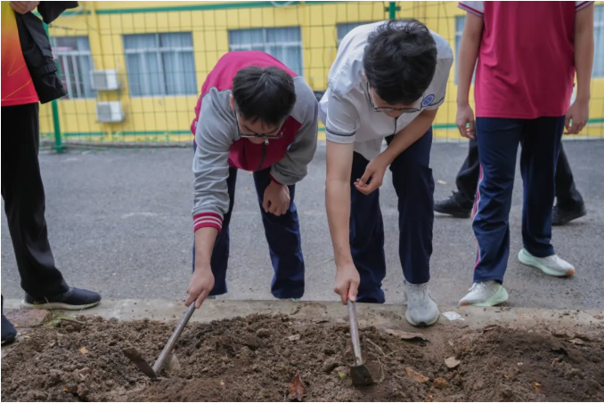 Snipaste_2025-11-07_16-22-47.png Snipaste_2025-11-07_16-22-47.png