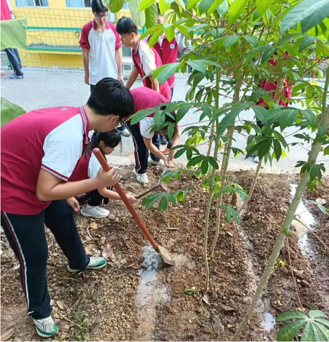 Snipaste_2025-11-07_16-23-00.png Snipaste_2025-11-07_16-23-00.png