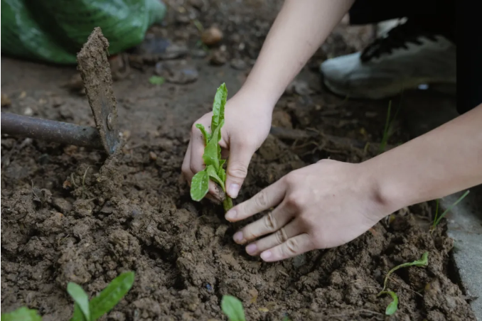 Snipaste_2025-11-07_16-23-04.png Snipaste_2025-11-07_16-23-04.png