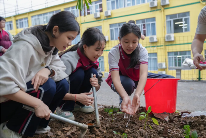 Snipaste_2025-11-07_16-23-07.png Snipaste_2025-11-07_16-23-07.png