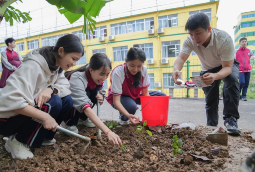 图片4.png 图片4.png