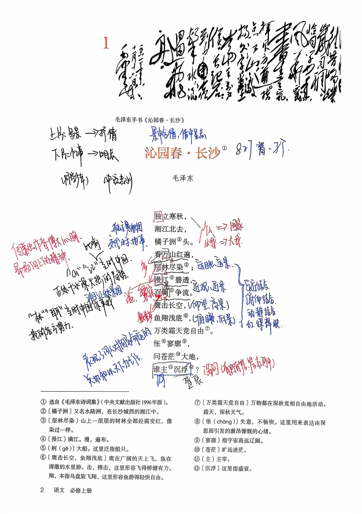 2510班 赵翊竹.jpeg