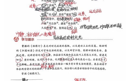 张鹤琳2504班：诗歌鉴赏作品