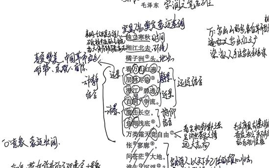 位子琪2505班：诗歌鉴赏作品