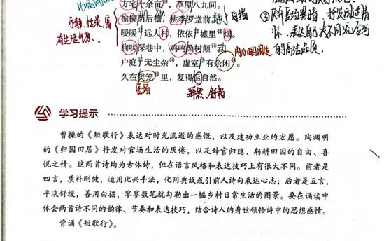 王雅琪2502班：诗歌鉴赏作品