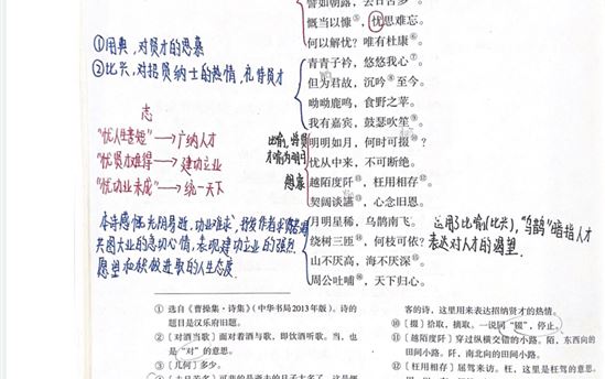 杨珺婷2501班：诗歌鉴赏作品