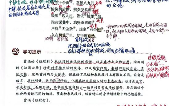 周嘉琪2506班：诗歌鉴赏作品