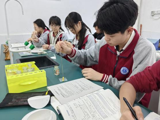 图片5.png 图片5.png