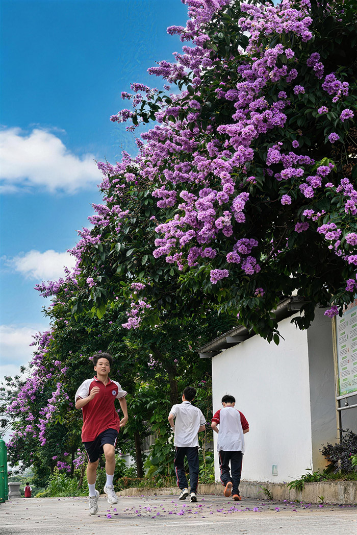 微信图片_20260312101705_272_11 拷贝.jpg